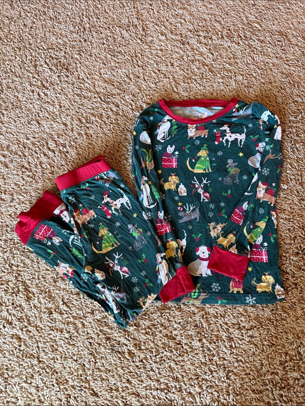 Little Sleepies Dark Green Holiday Animal Print Pajama Set with Red Trim